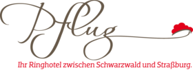 Logo Ringhotel Pflug