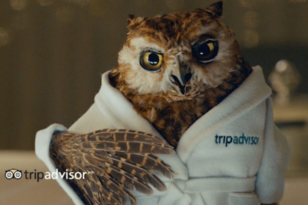 A still from TripAdvisor's new TV ad campaign; ©TripAdvisor