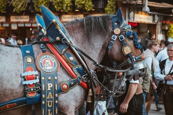 Symbolbild Oktoberfest. Bild: Bastian Riccardi/Pexels. 