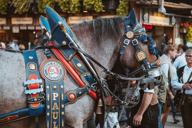Symbolbild Oktoberfest. Bild: Bastian Riccardi/Pexels. 