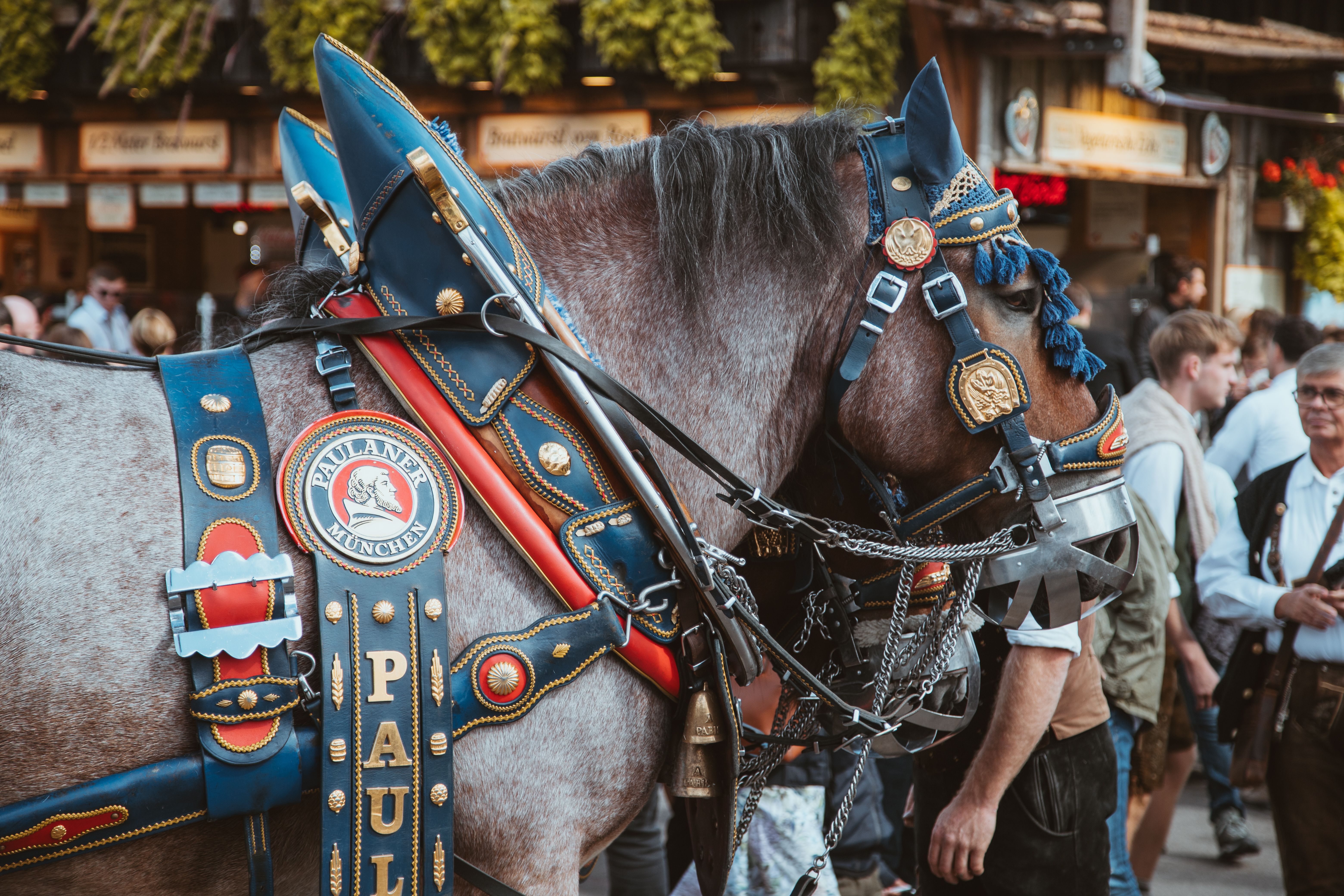 Symbolbild Oktoberfest. Bild: Bastian Riccardi/Pexels. 